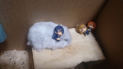 no title