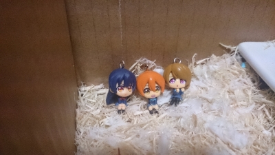 【ラブライブ！】凛「あれ？」花陽「ここどこだろう？」海未「道に迷ってしまいましたね」